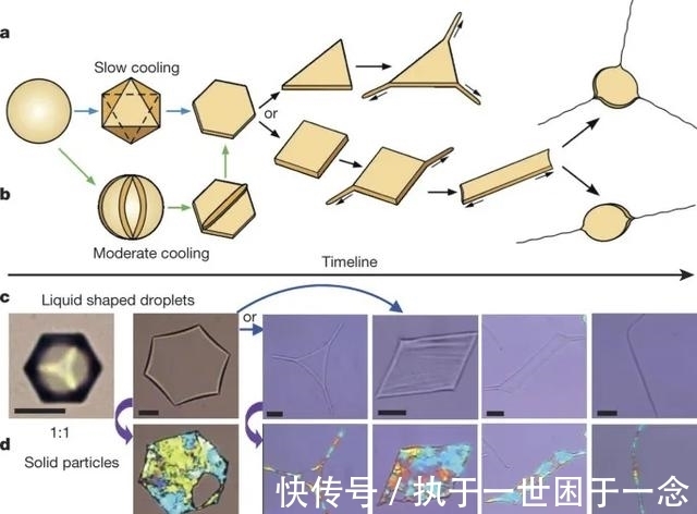 烷烃|Nature子刊:油滴“游泳”,姿势少见
