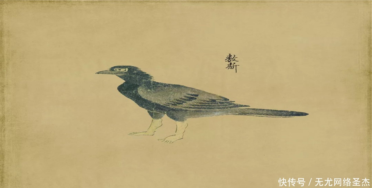 数斯|《山海经》中的“数斯”不是神话,而是真的存在!