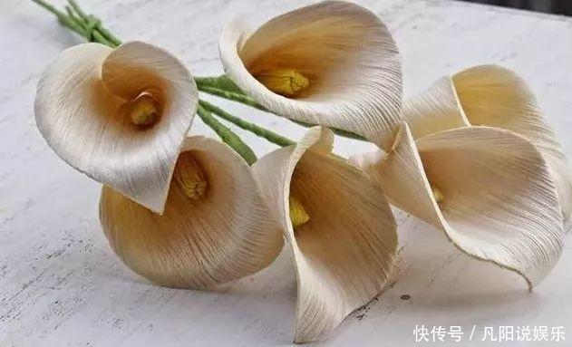 玉米棒子扔盆里,洒点水就发芽了,7天长一把绿苗!