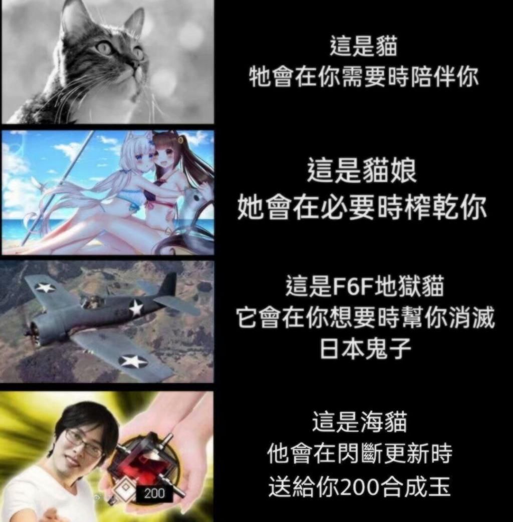 明日|明日方舟 大家都是猫，为什么你就这么突出？