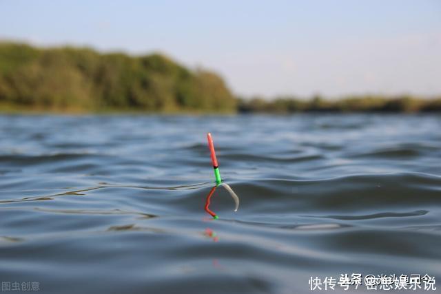 浮漂|鲫鱼都是送漂？谣言！这7种漂相都是鲫鱼吃钩，看你错过多少鱼