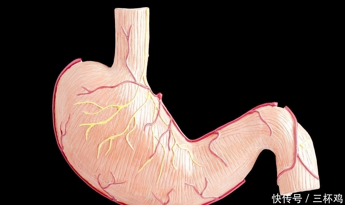治疗|幽门螺杆菌最怕七种药物组合，坚持治疗十天，胃病会离你更远