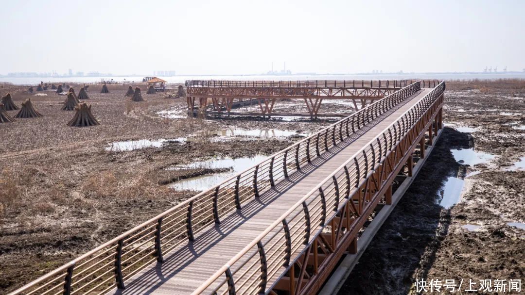 西沙湿地开园啦