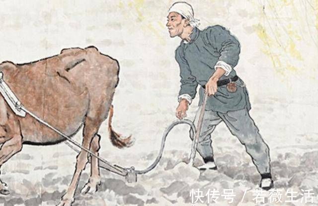 九州无事乐耕耘$徐悲鸿画了3位农民1只牛,拍出266亿,文物专家放大5倍看