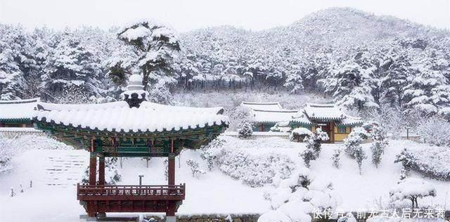 中国|中国没有棉花的时候,穷人怎么“过冬”,冻死的人真不在少数!