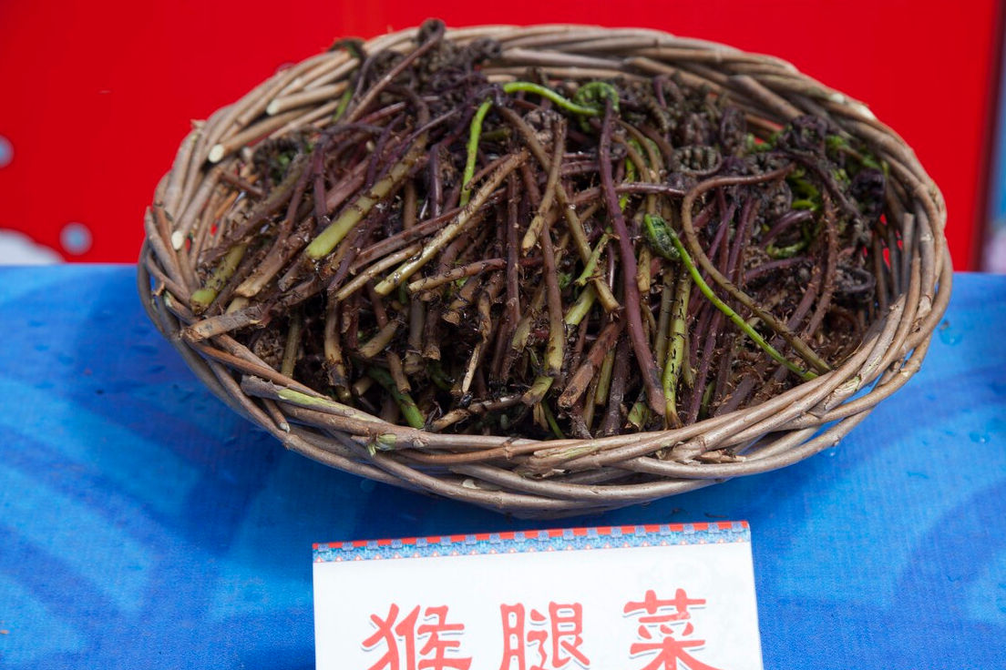 野菜|49种野菜大图片，带你见识不同的野菜和吃法，你想要的野菜这里有