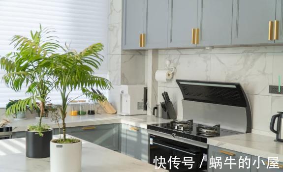管道|厨房异味太大怎么办？这几个装修建议值得参考，学到就是赚到