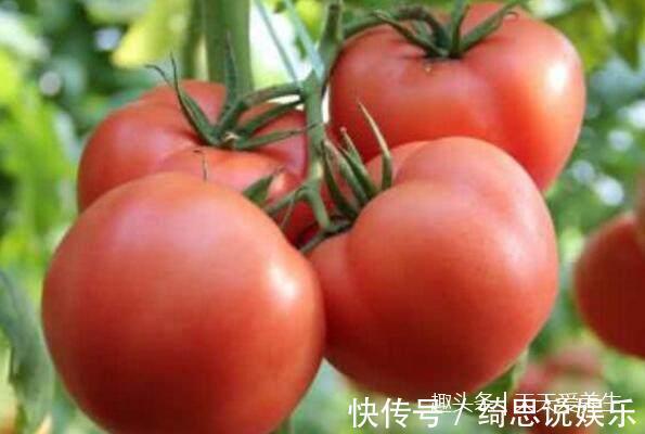 葡萄干|妇科医生4种食物要多吃，经常吃不仅治炎症还能抗衰老！