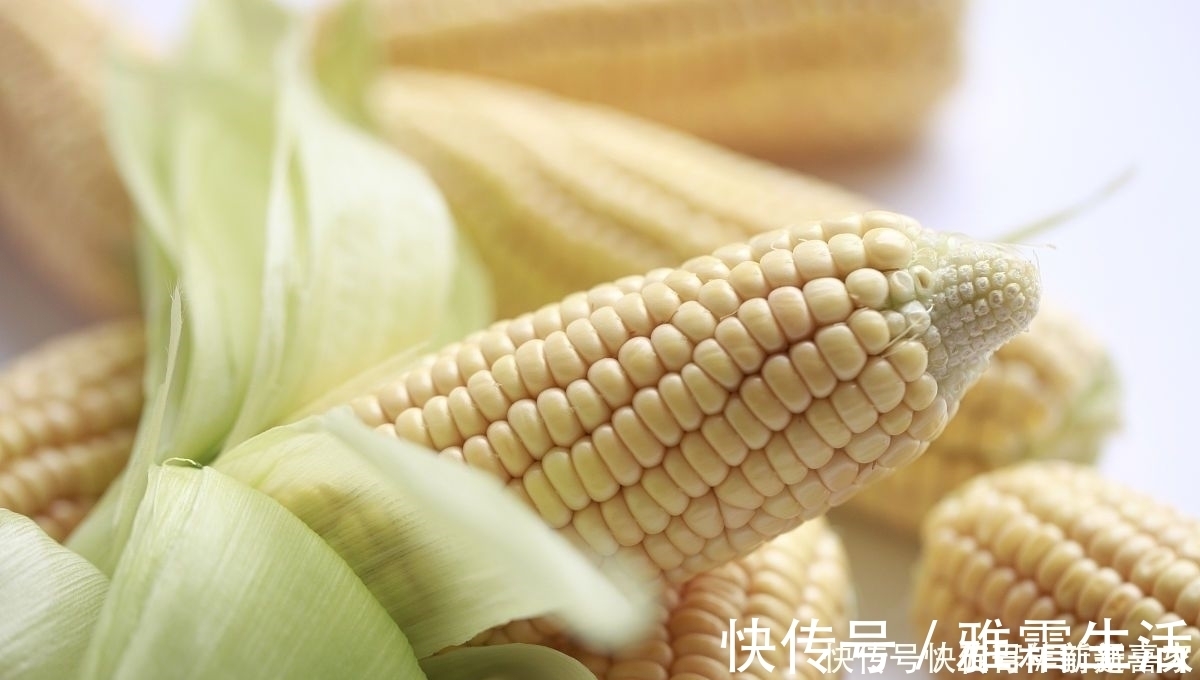 过路鱼|大面积水域钓不到大鱼怎么办注意这几点加上秘密武器就行了