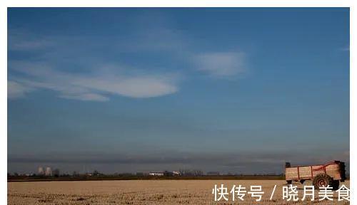 房子|“独立女性”的代价:我咬牙婚前买了房,却被房贷捆住了人生