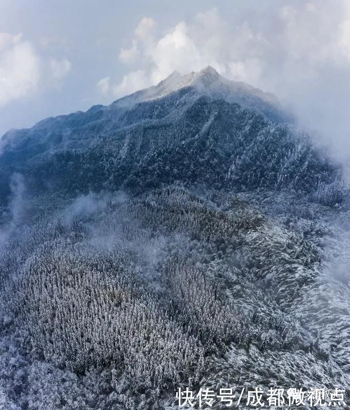 林海雪原|想看“林海雪原”，不用去东北，叙永就有