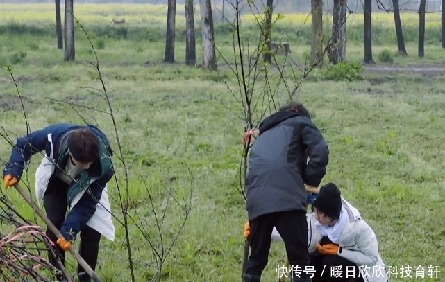 张子枫种树被嘲“划水”,谁注意她衣角上痕迹,是对男嘉宾的尊重