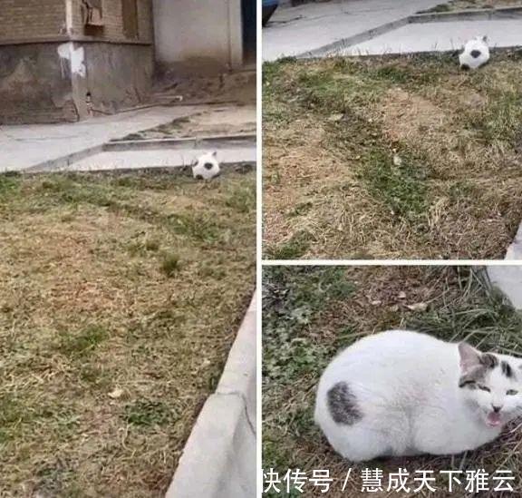 真相&24张欺骗你的眼睛照片,眼见也不一定为实!