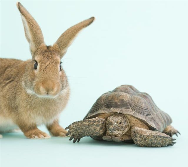 教科书|心率不到60次的注意了:你的心脏没毛病了