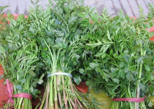 蕨菜|提醒:生活中常见的这5种野菜,尽量少吃,别再当成宝了