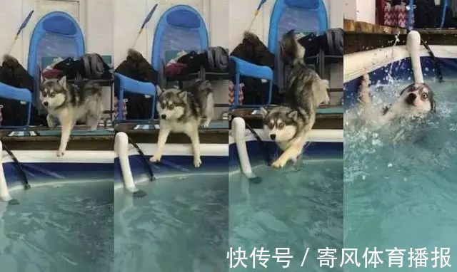 |10张有趣的图片,图片才能看出搞笑的地方