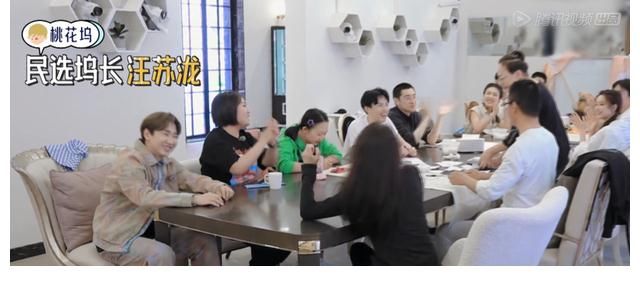 坞长|汪苏泷高票当选坞长，宋丹丹苏芒依旧指手画脚，为何不自己上任？？