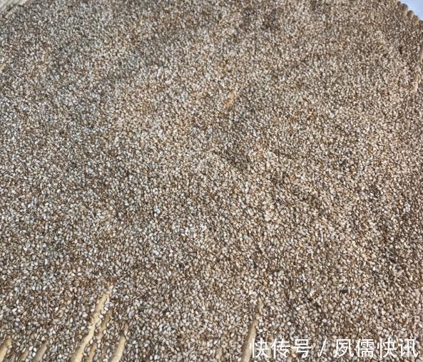 想吃|想吃芝麻酱不用买，5块钱自制1大瓶，纯正无添加，做法还简单