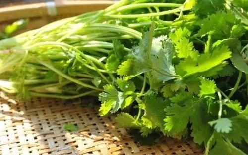 食疗|食疗对付高血压,试试这些降压茶、降压菜!十步曲让高血压远离你