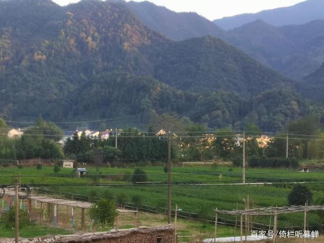 《七绝.初冬印象》霜染苍茫已入冬，枝条飞叶落无穷