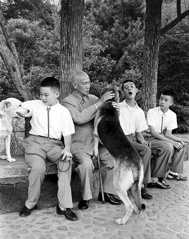 医疗小组|蒋介石的最后一个清明节：早上和蒋经国谈笑风生，午夜驾鹤归西