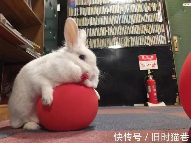 |医生好难，还要免费在线代做作业  冷段子1421 & 去年今日1111