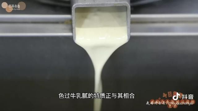 舟曲美食篇——龙涎硝水豆腐|美丽甘肃 | 浸豆