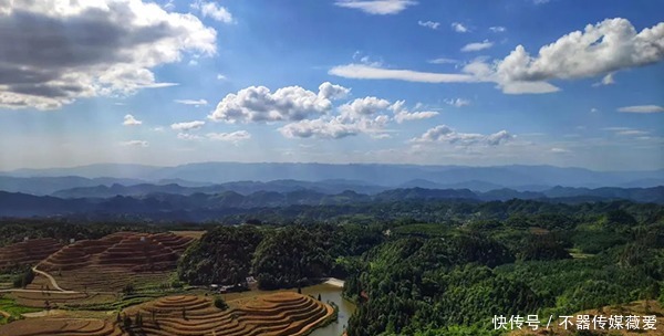 太仙了！古蔺竟然还藏着这样一片“世外茶园”