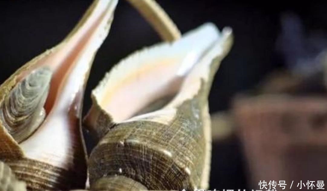 潮汕地区|在潮汕,鲍鱼龙虾都比不上它,它才是“王者”每隔五年才能吃到它