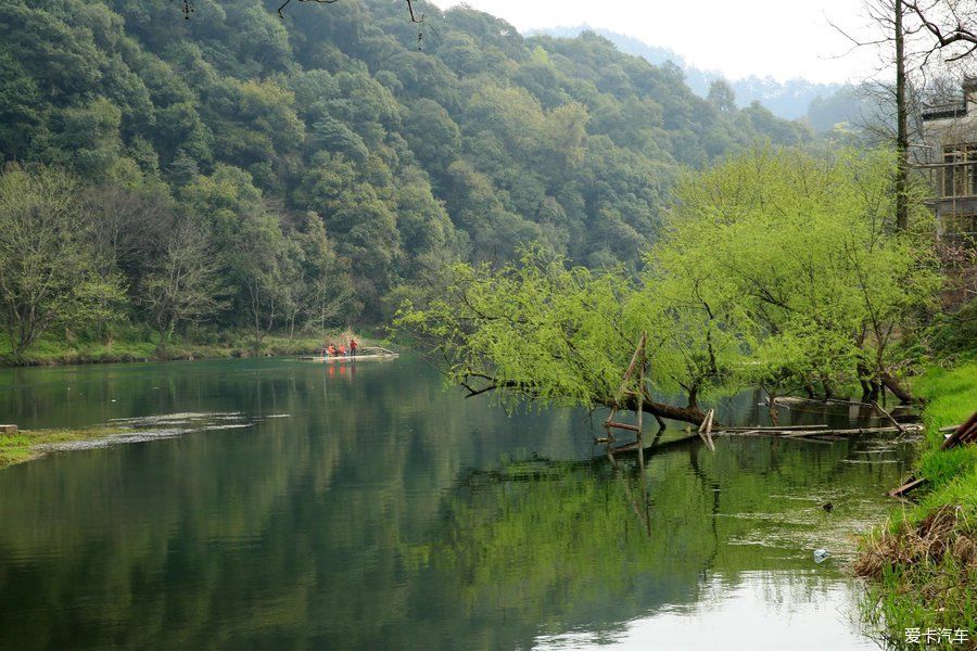 阳春三月，游婺源赏油菜花