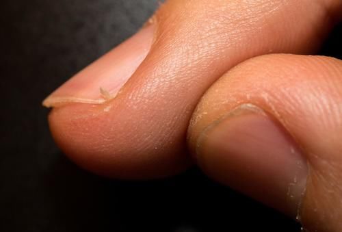 贫民窟手足护理大法：不一定要购买专业的手膜足膜！