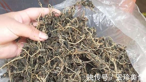 食用|马齿苋煮水喝,有哪些好处?晒干的马齿苋能吃吗?提前告诉你