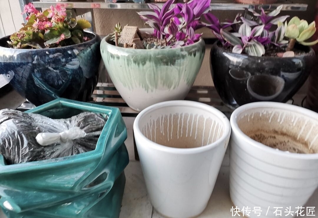 陶瓷|“带釉”的花盆好不好？1个优点、3个缺点要知道，才能养好花