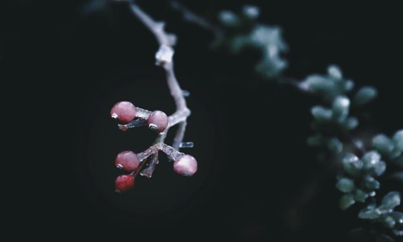 打卡|美翻了！贵阳云雾“冰雪世界”成网红打卡地