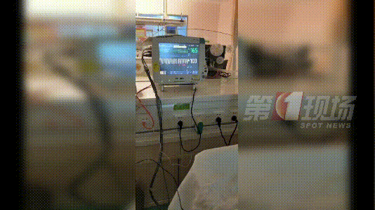 肺动脉|暖！“熊猫血”妈妈生下心脏病宝宝，一场救治接力就此上演…