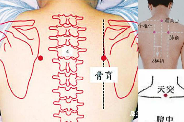 养阳|冬病夏治抓住一年中养阳的40天,阳虚的人记得提前安排好3件事