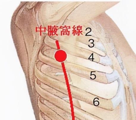 三镜|中医常说观3镜,知全身!屁为脾之镜,胁为肝之镜,踵为肾之镜