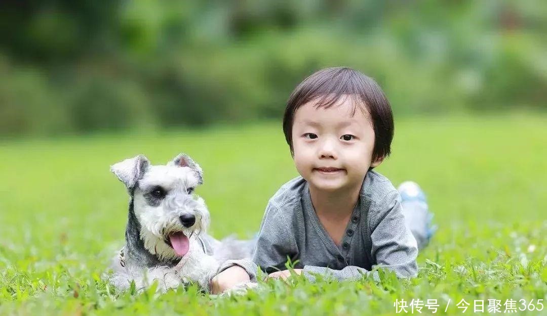 动物|独生子女家庭，要不要养个动物陪伴孩子养小动物也有风险