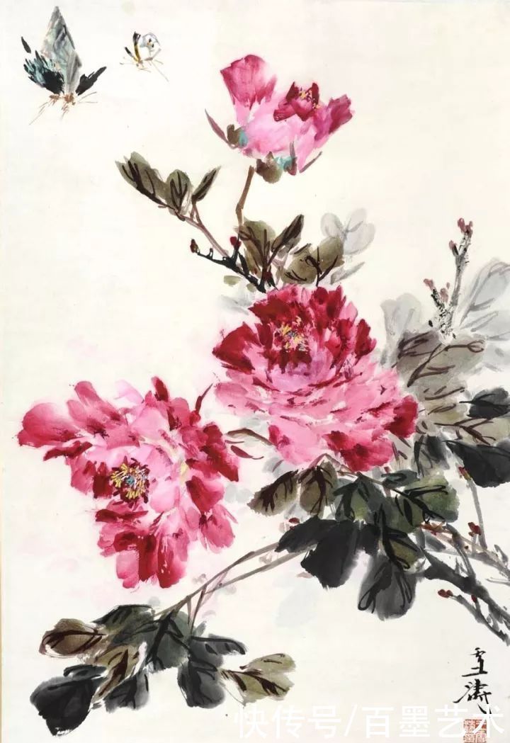 小写意|唯有牡丹真国色！小写意牡丹画150幅，美醉了