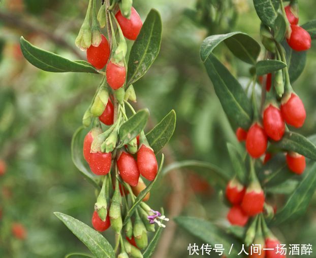 40岁女性多吃3种食物,美容养生、延缓衰老,爱吃就赚了