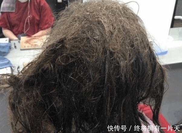 理发|女子一年没洗头遭人嫌弃，理发师帮她理发后，无可救药爱上她！