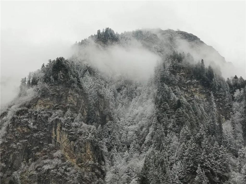 地方|汶川下雪了！这些地方，你最想去哪个？