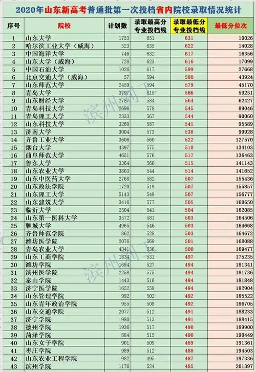 2020山东省内大学排名（软科、校友会、投档分）