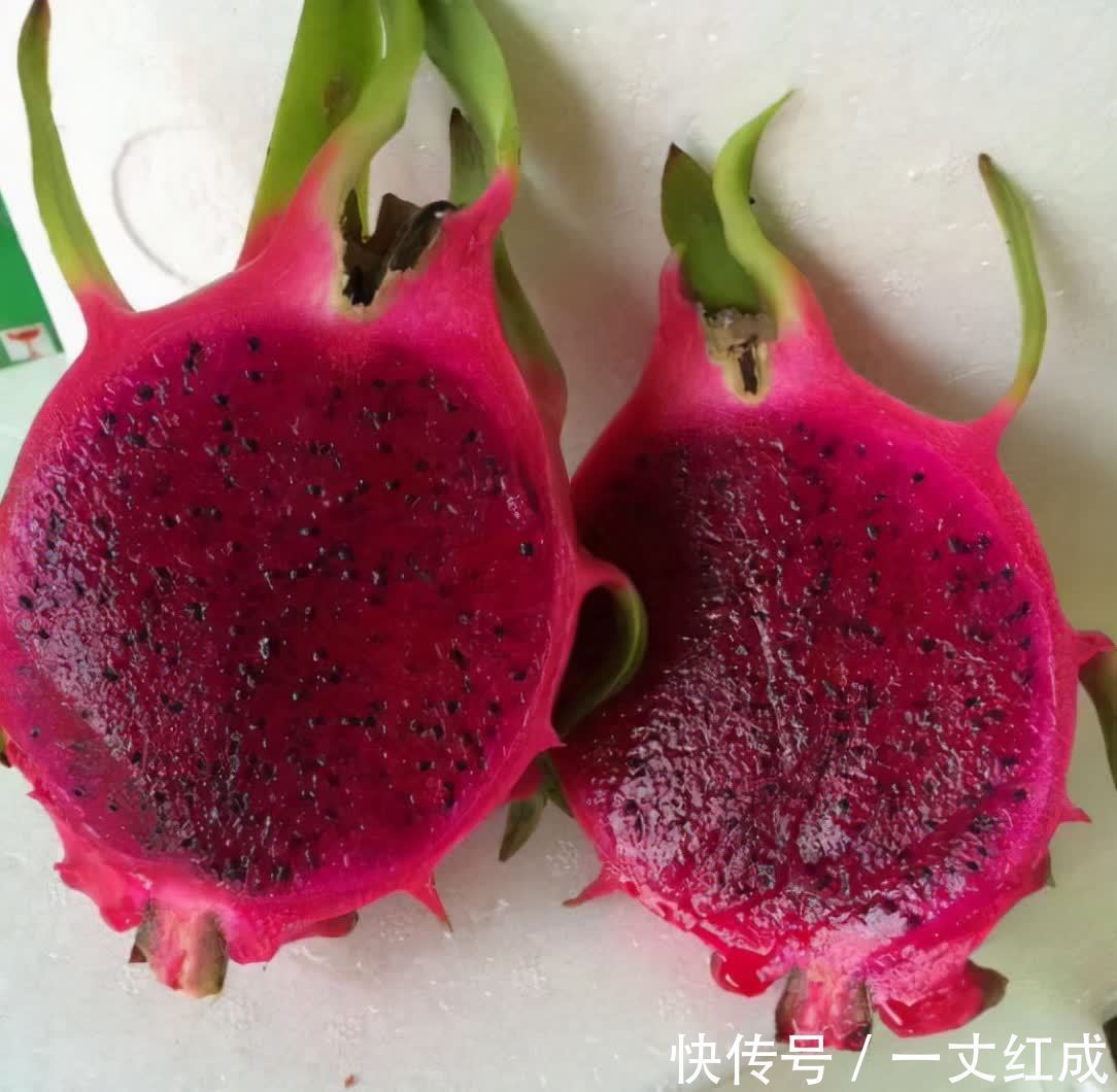 多子多福|冬至后,客厅要有的3种“鸿运果”,寓意生活如意财源广进