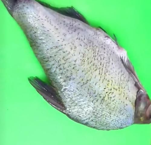 天南地北年夜饭，怎能少了这道菜，有颜值寓意好，营养美味