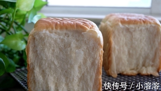 吐司盒|这个面包配方好，牛奶、黄油、鸡蛋全不放，一次发酵，香软又健康