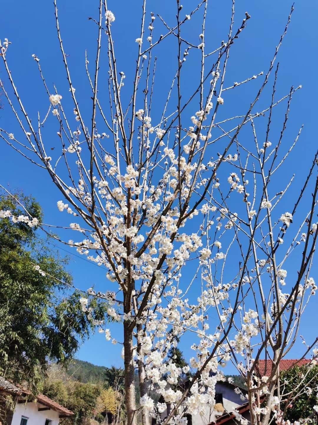 抓住这美好的时光，春天新启航