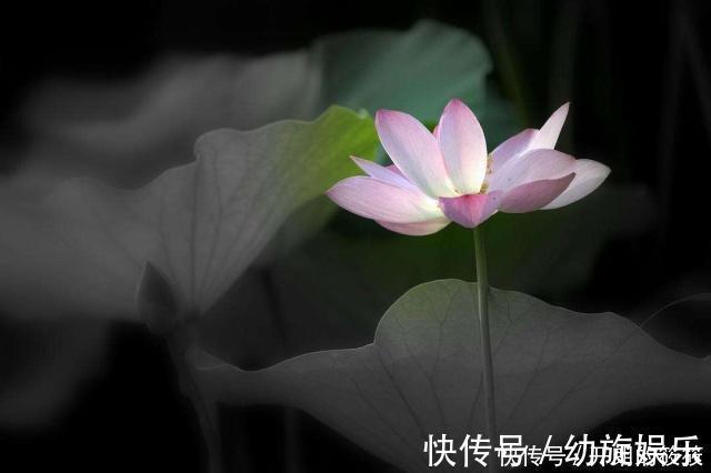 金刚经@开悟的人最可怕,人生至高境界,全在《金刚经》这三句话中!