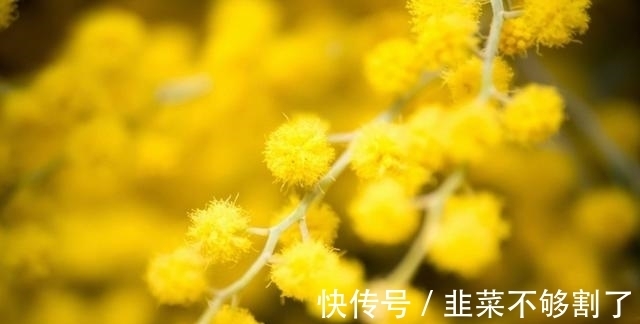 处女|在10月内，红娘牵线，前缘难舍难分的四大星座，将与旧爱再续旧情