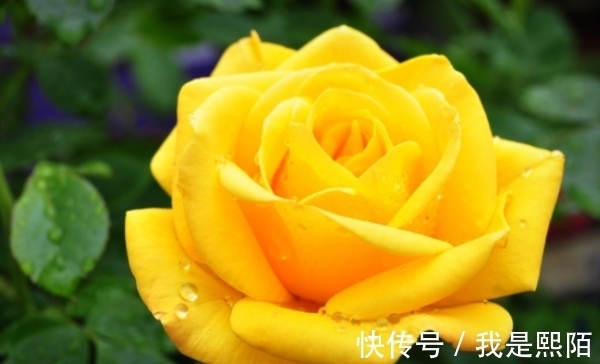 生肖|10月17日开始,抓住机会,勇往直前,收获满满,生财有道的生肖